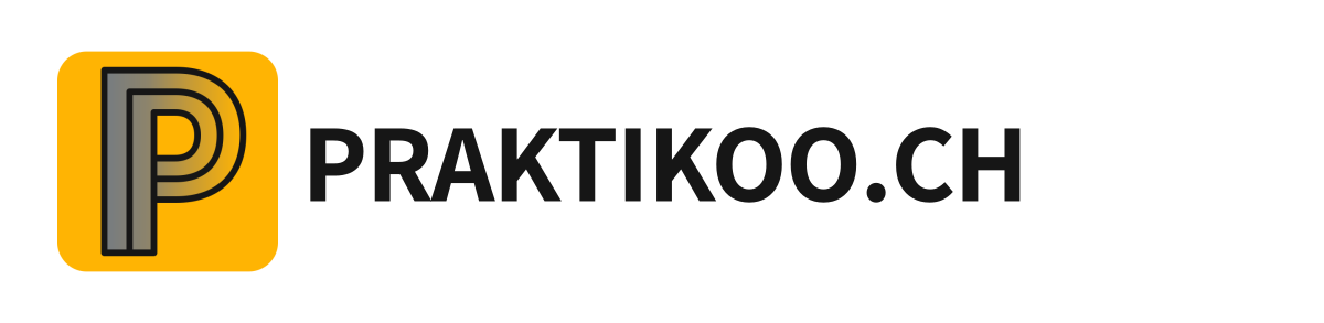 Praktikoo Rechnungslogo PNG